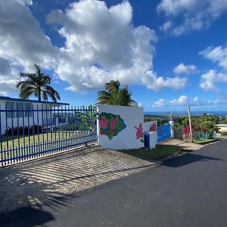 Million Dollar View In Puerto Rico Villa Luquillo Exterior photo