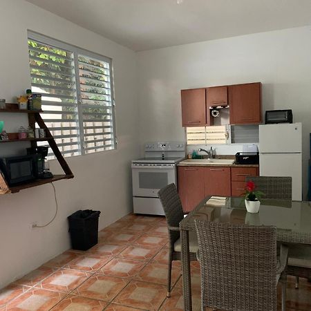 Million Dollar View In Puerto Rico Villa Luquillo Exterior photo
