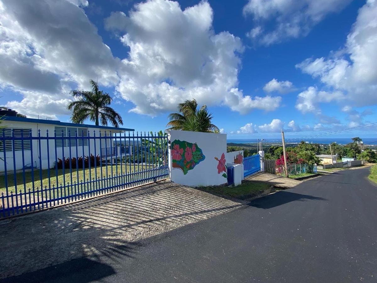Million Dollar View In Puerto Rico Villa Luquillo Exterior photo