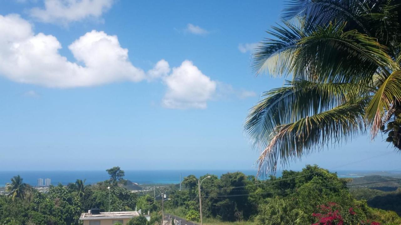 Million Dollar View In Puerto Rico Villa Luquillo Exterior photo