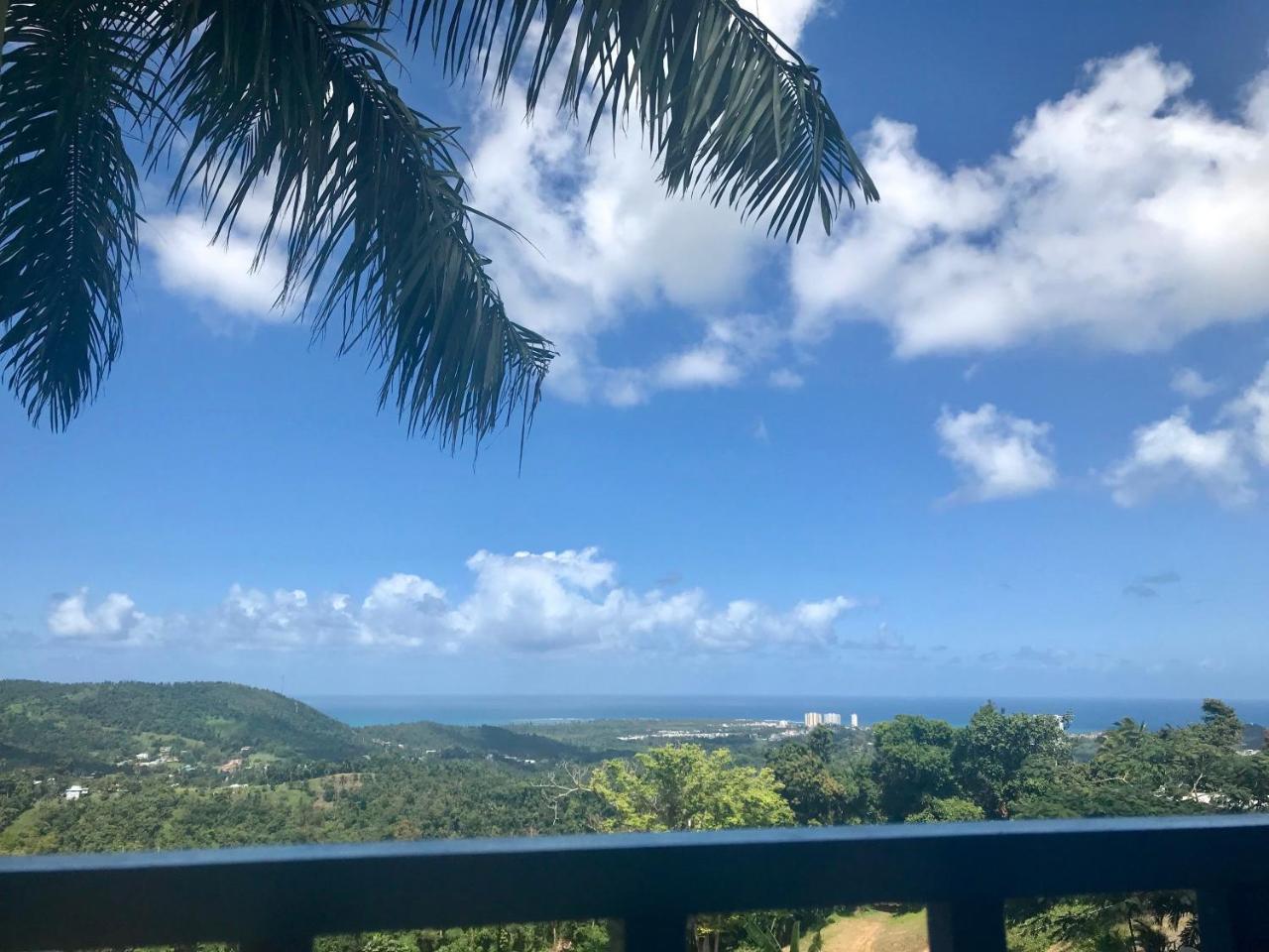 Million Dollar View In Puerto Rico Villa Luquillo Exterior photo